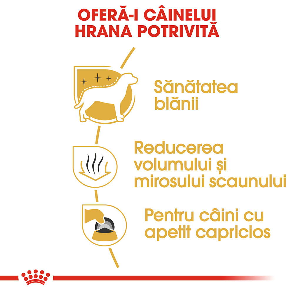ROYAL CANIN Maltese Adult, hrană uscată câini, 1.5kg