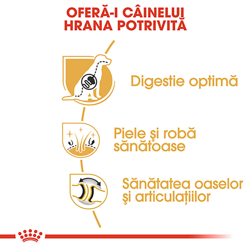 ROYAL CANIN German Shepherd Adult, hrană uscată câini, 11kg