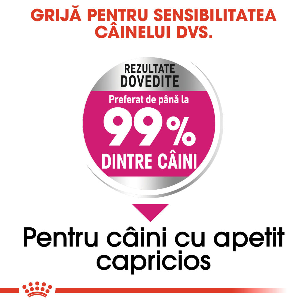 ROYAL CANIN Mini Exigent, hrană uscată câini, apetit capricios, 3kg