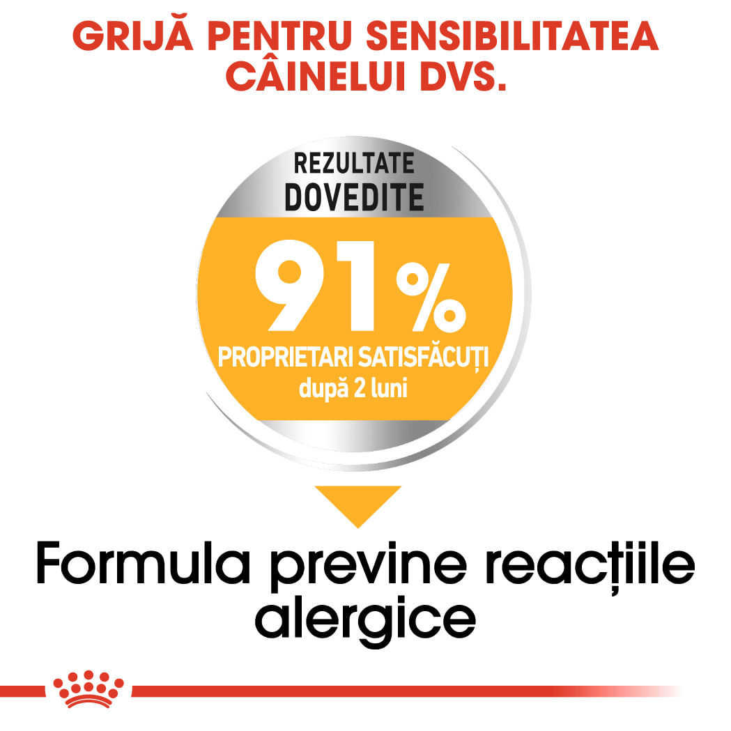 ROYAL CANIN Mini Dermacomfort, hrană uscată câini, prevenirea iritațiilor pielii, 3kg