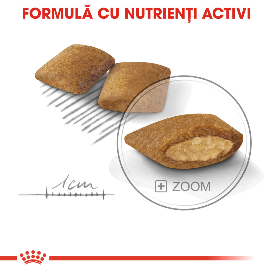 ROYAL CANIN Mini Exigent, hrană uscată câini, apetit capricios, 3kg