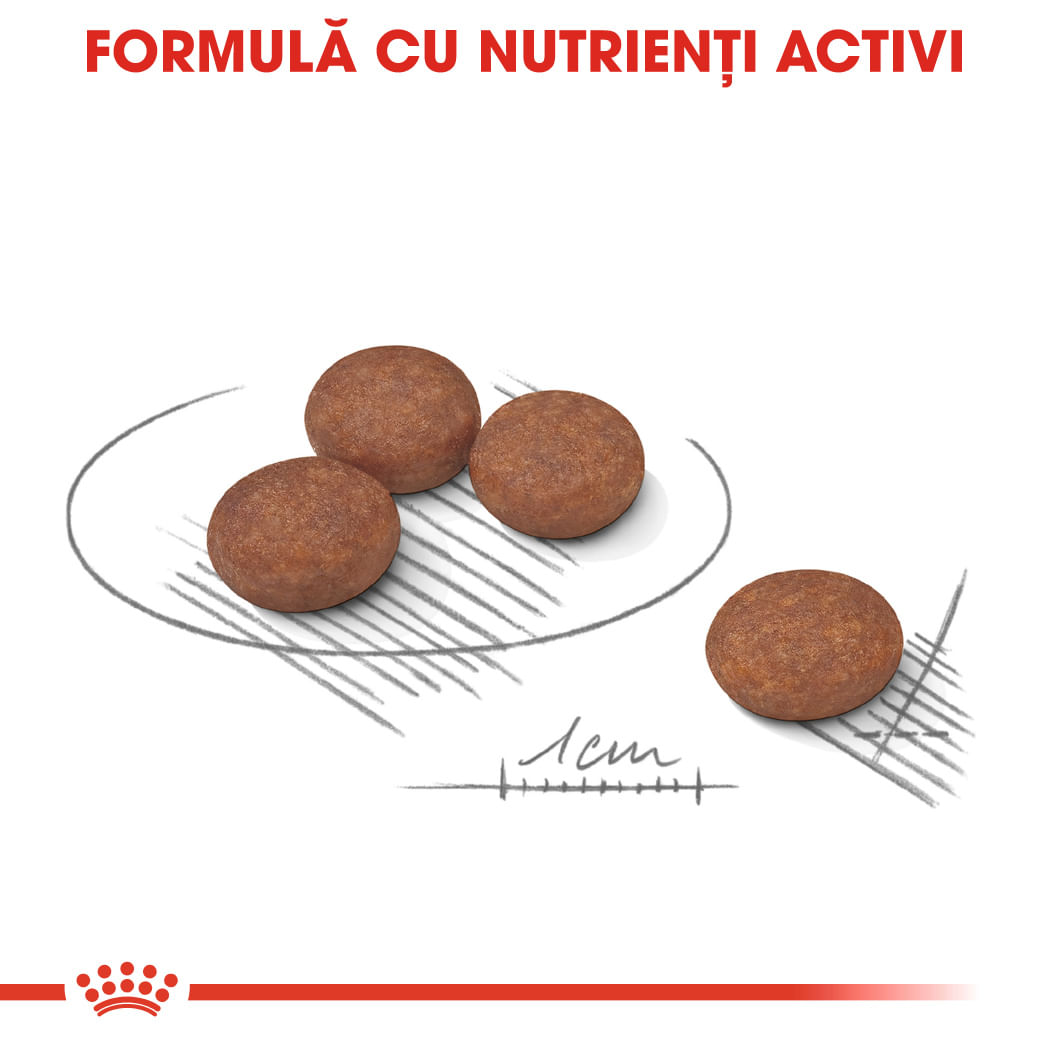 ROYAL CANIN Mini Digestive Care, hrană uscată câini, confort digestiv, 3kg