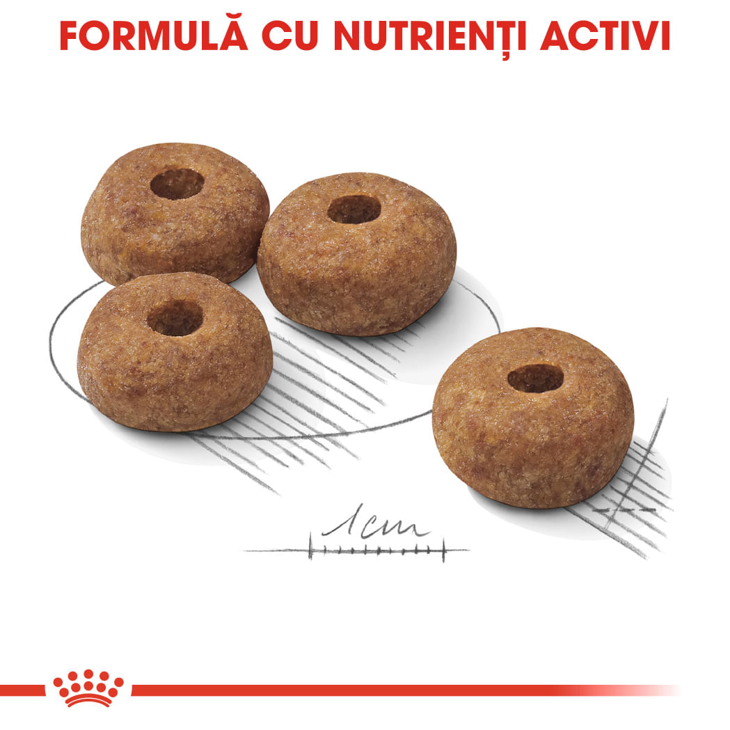 ROYAL CANIN Medium Sterilised Adult, hrană uscată câini sterilizați, 12kg