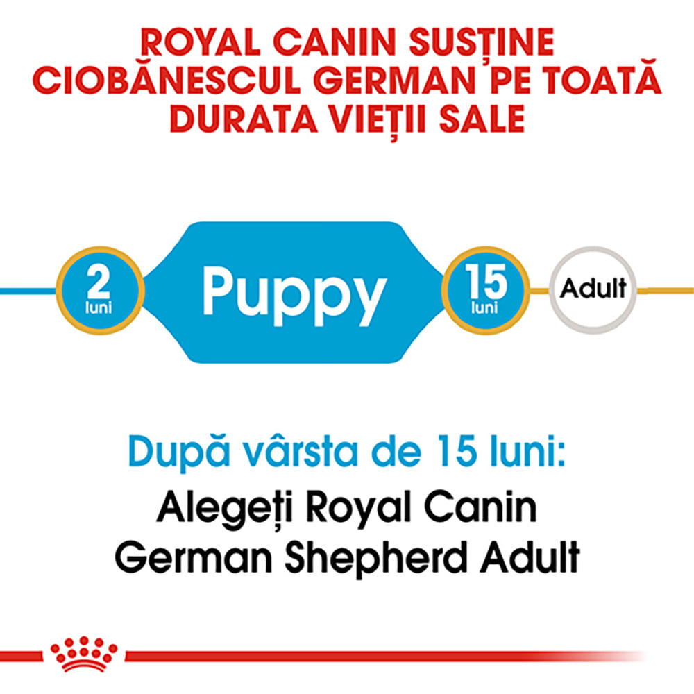 ROYAL CANIN German Shepherd Puppy, hrană uscată câini junior, 1kg