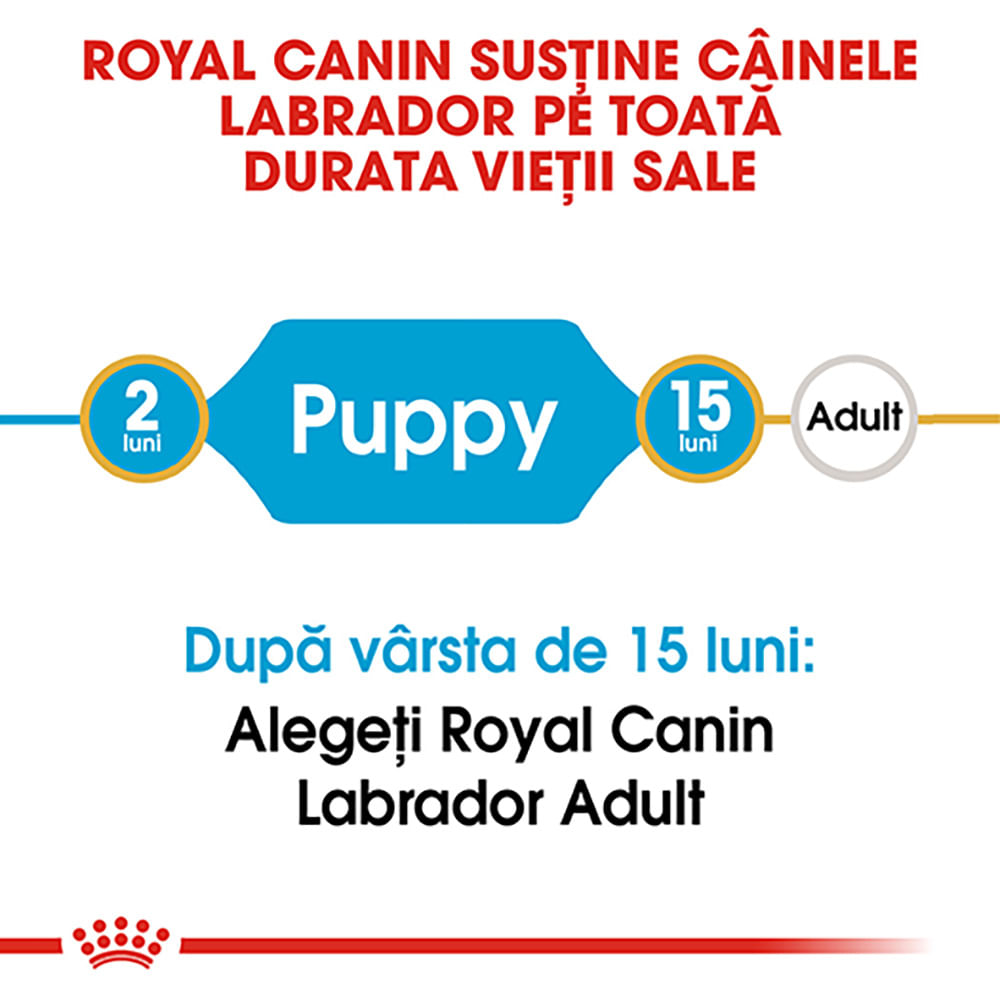 ROYAL CANIN Labrador Puppy, hrană uscată câini junior, 12kg