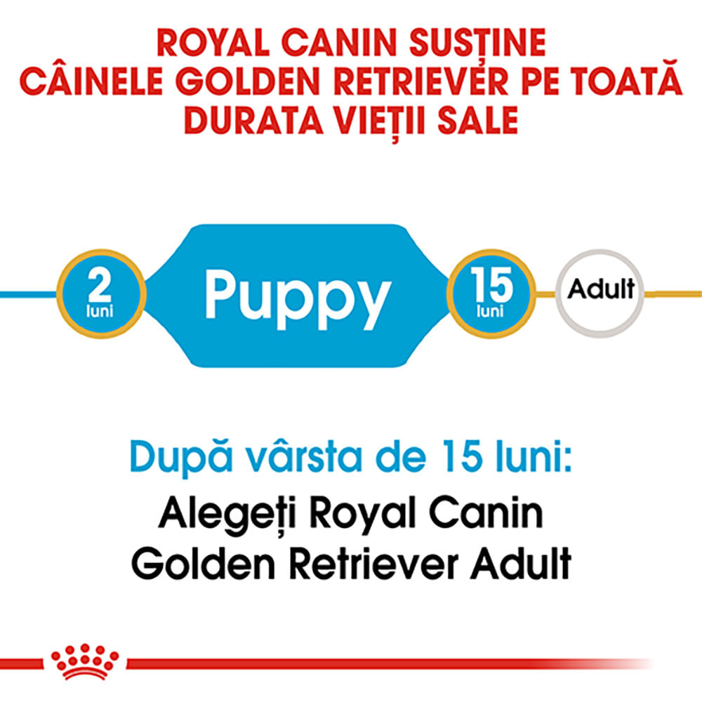 ROYAL CANIN Golden Retriever Puppy, hrană uscată câini junior, 3kg