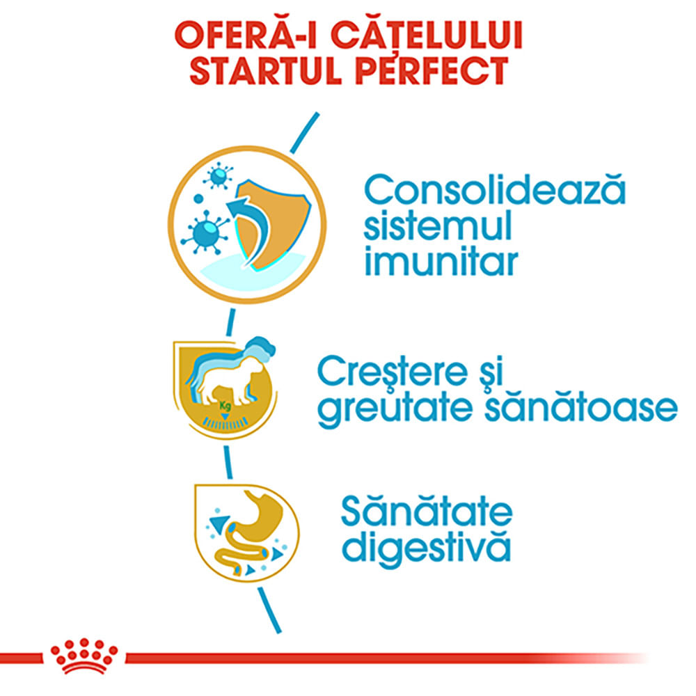 ROYAL CANIN Labrador Puppy, hrană uscată câini junior, 3kg