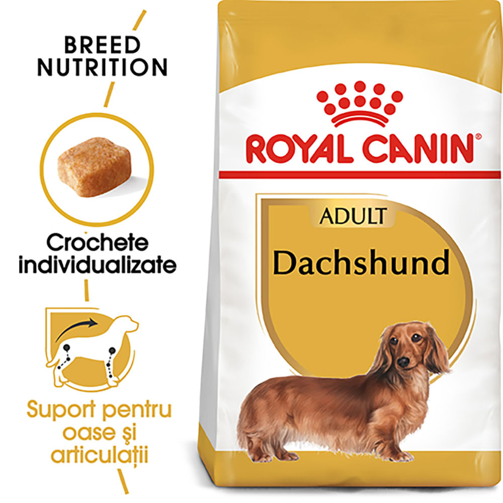 ROYAL CANIN Dachshund Adult, hrană uscată câini, 1.5kg - 1 | YEO