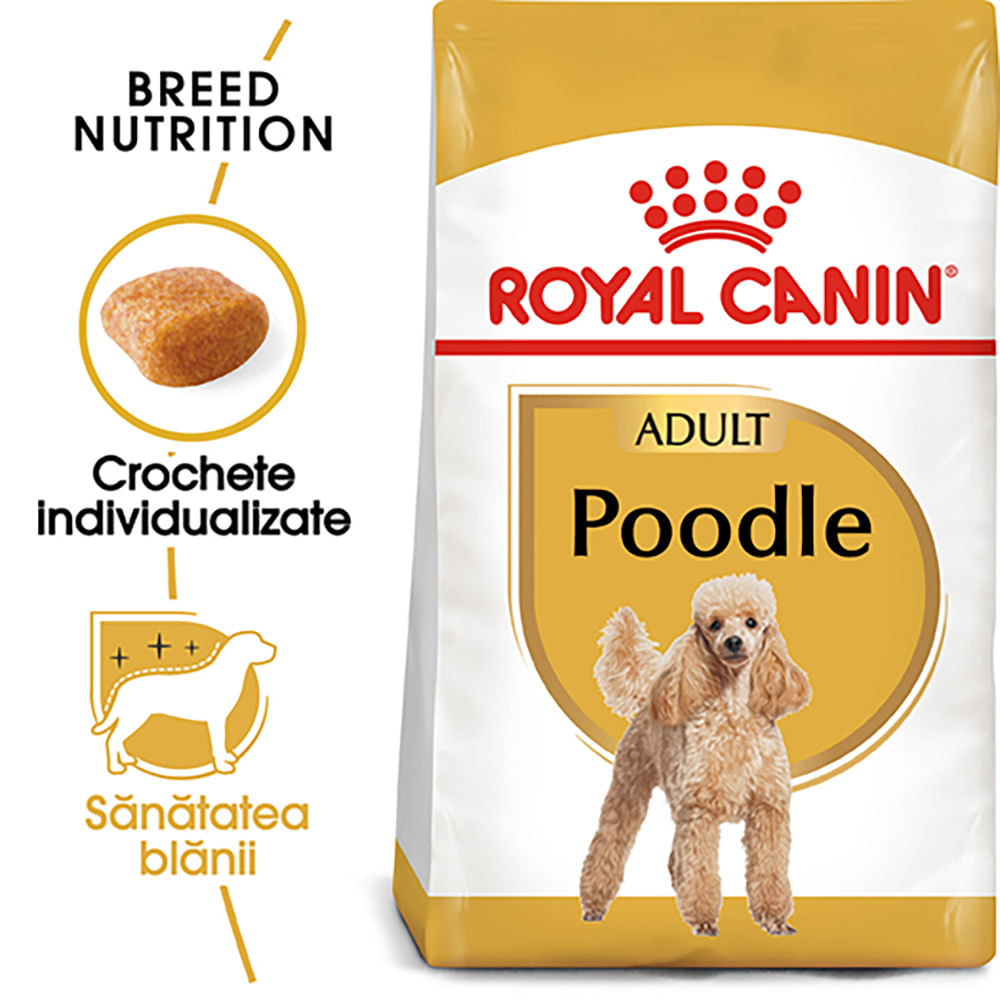 ROYAL CANIN Poodle Adult, hrană uscată câini, 1.5kg - 1 | YEO