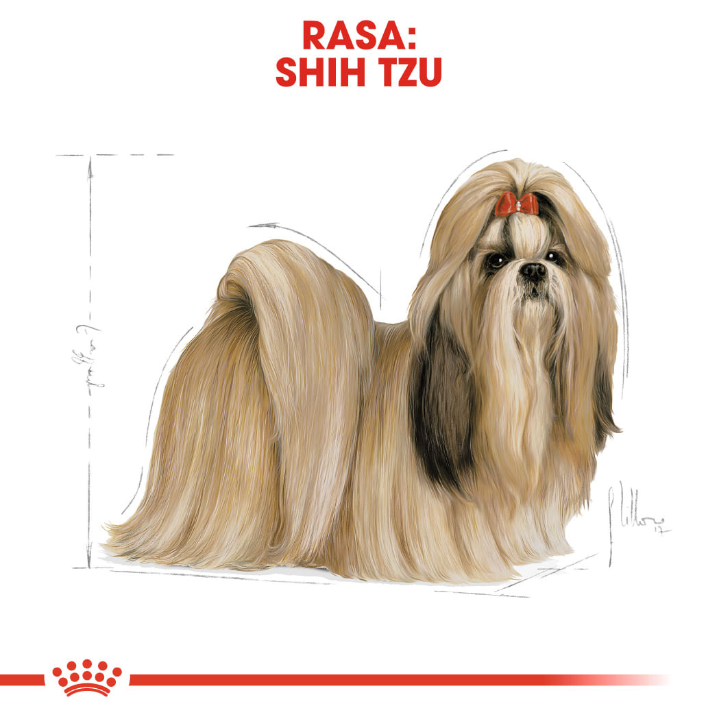 ROYAL CANIN Shih Tzu Adult, hrană uscată câini, 1.5kg - 3 | YEO