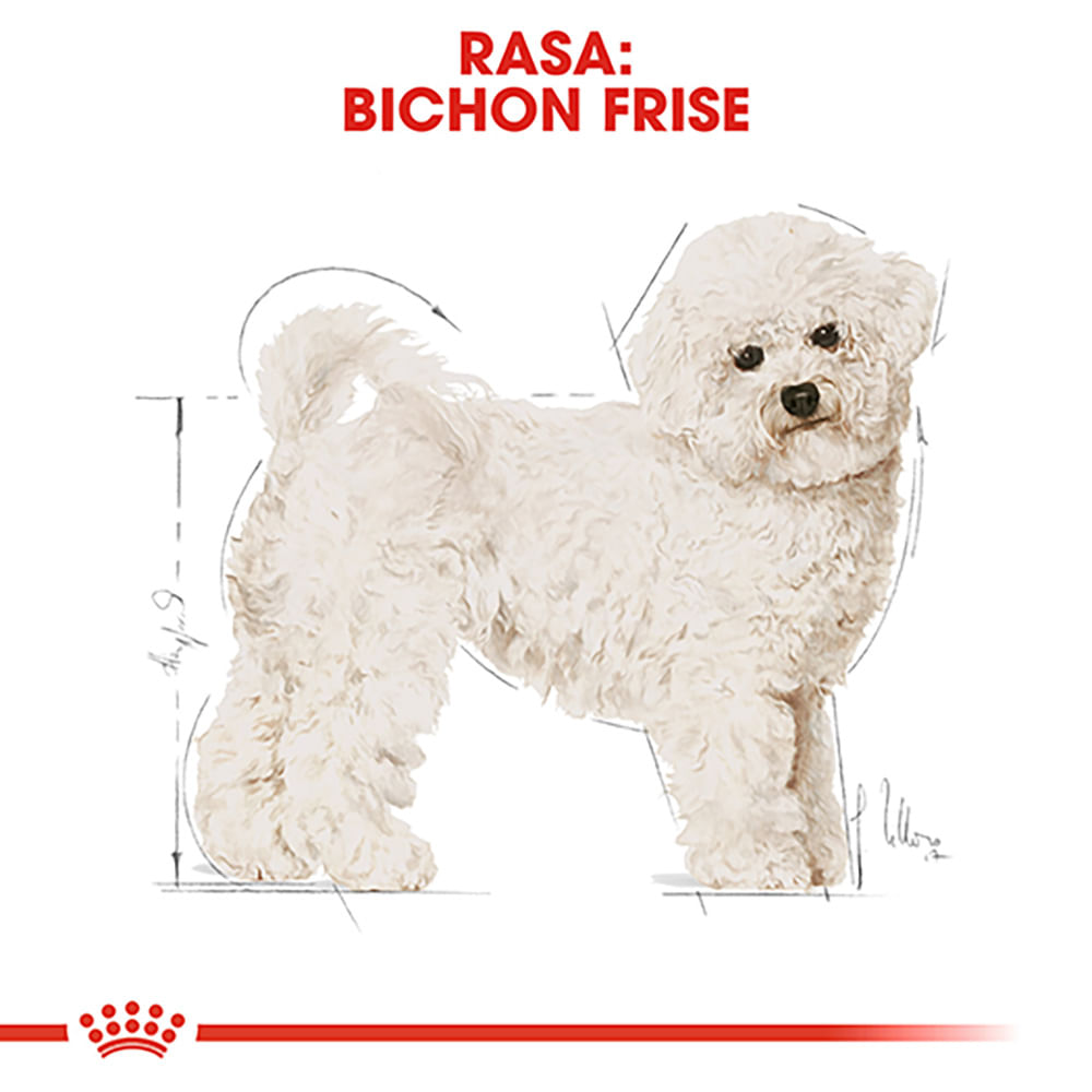 ROYAL CANIN Bichon Frise Adult, hrană uscată câini, 500g - 3 | YEO