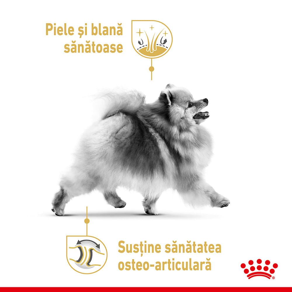 ROYAL CANIN Pomeranian Adult , hrană uscată câini, 1.5kg - 3 | YEO