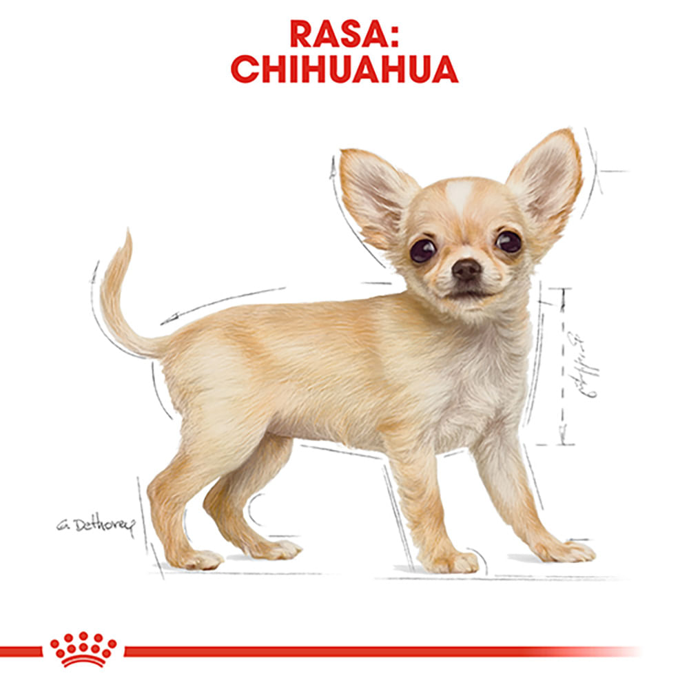 ROYAL CANIN Chihuahua Puppy, hrană uscată câini junior, 1.5kg