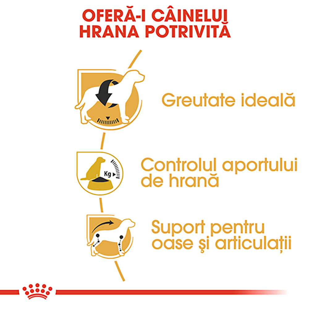 ROYAL CANIN Beagle Adult, hrană uscată câini, 3kg