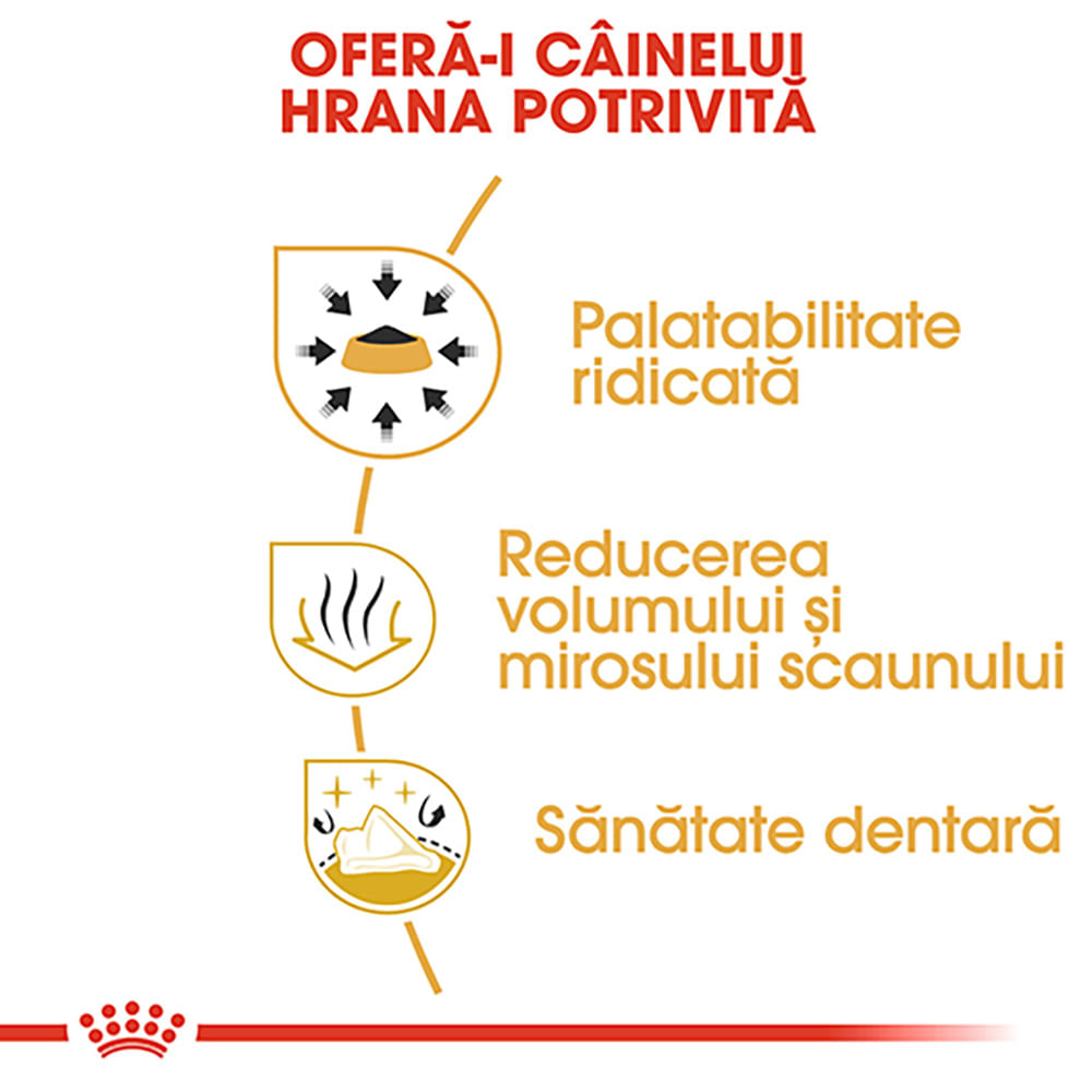 ROYAL CANIN Chihuahua Adult, hrană uscată câini, 1.5kg