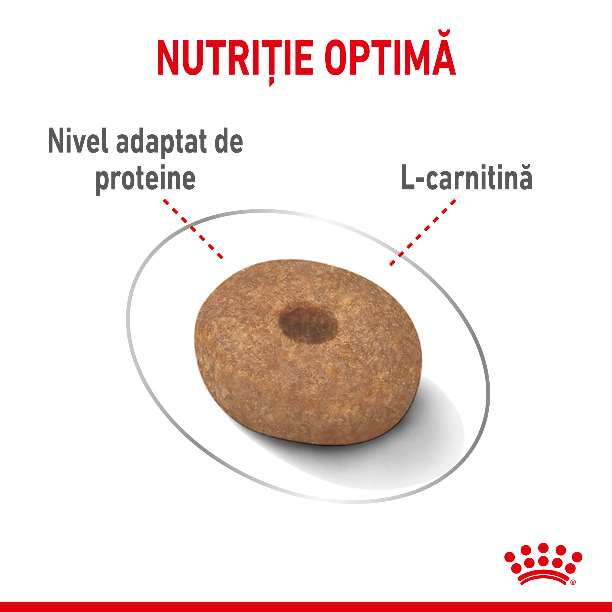 ROYAL CANIN Mini Light Weight Care Adult, hrană uscată câini, limitarea creșterii în greutate, 1kg