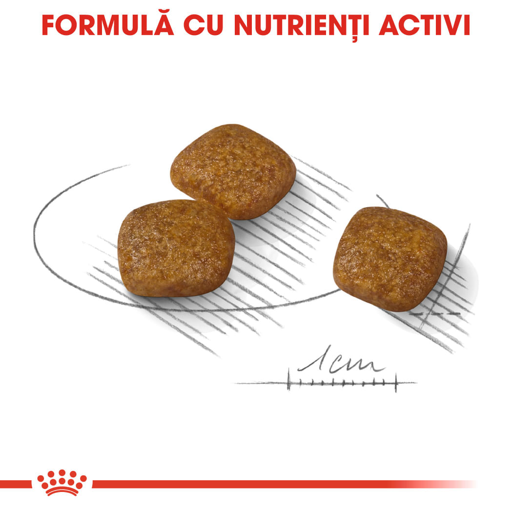ROYAL CANIN Mini Urinary Care, hrană uscată câini, sănătatea tractului urinar, 8kg