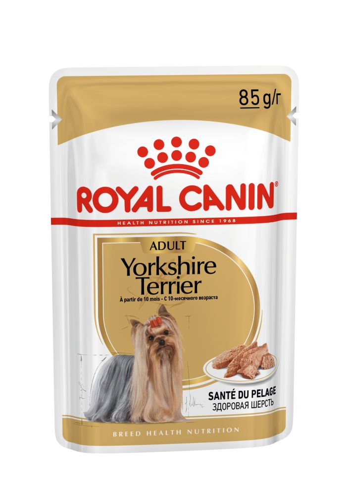 ROYAL CANIN Yorkshire Adult hrană umedă câini (pate), bax, 85g x 12buc - 1 | YEO