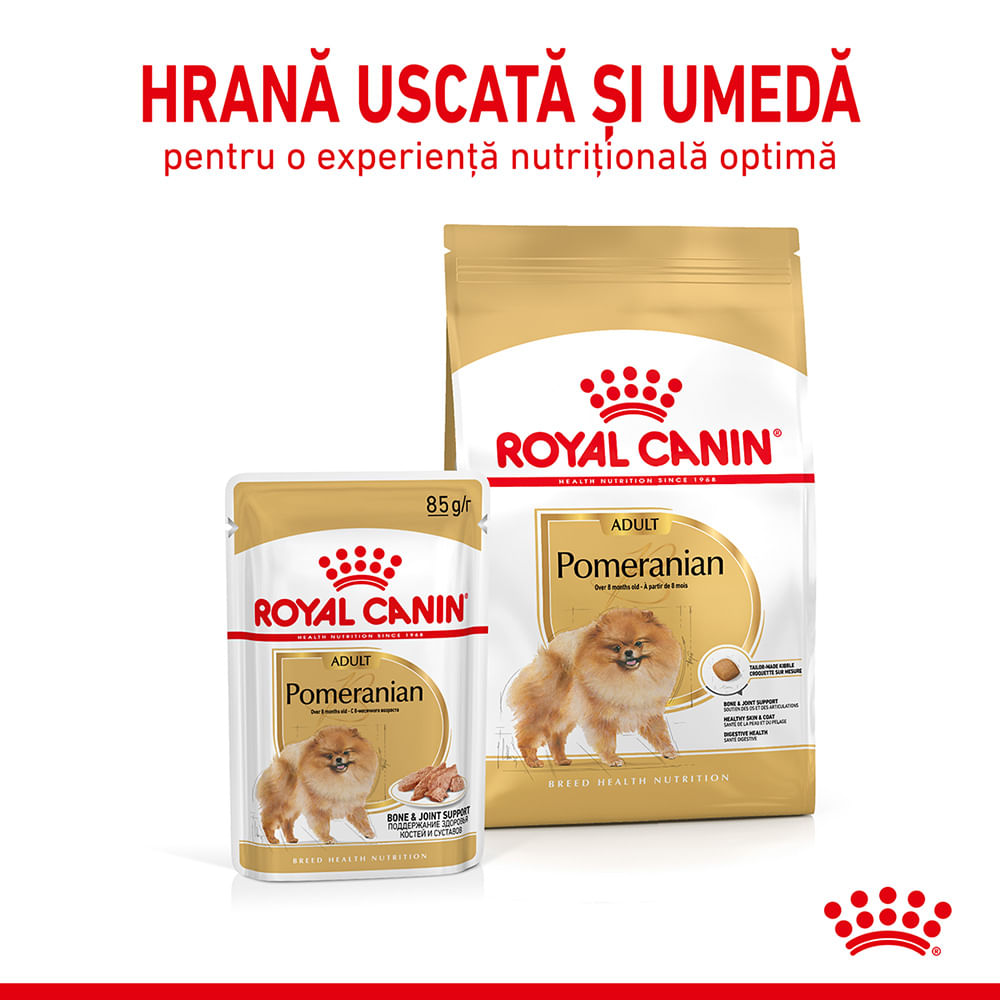 ROYAL CANIN Pomeranian Adult , hrană uscată câini, 1.5kg