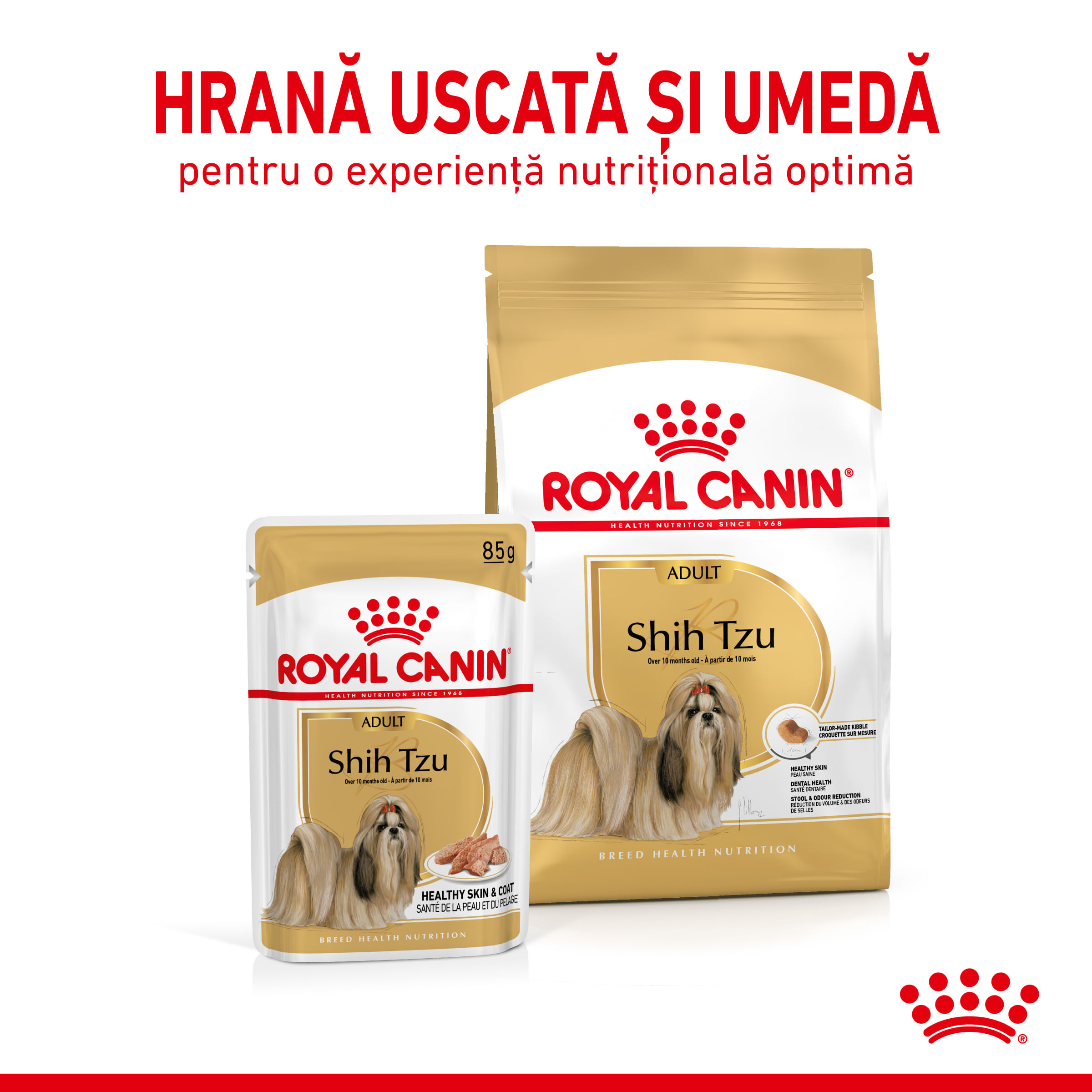 ROYAL CANIN Shih Tzu Adult hrană umedă câini (pate), 85g