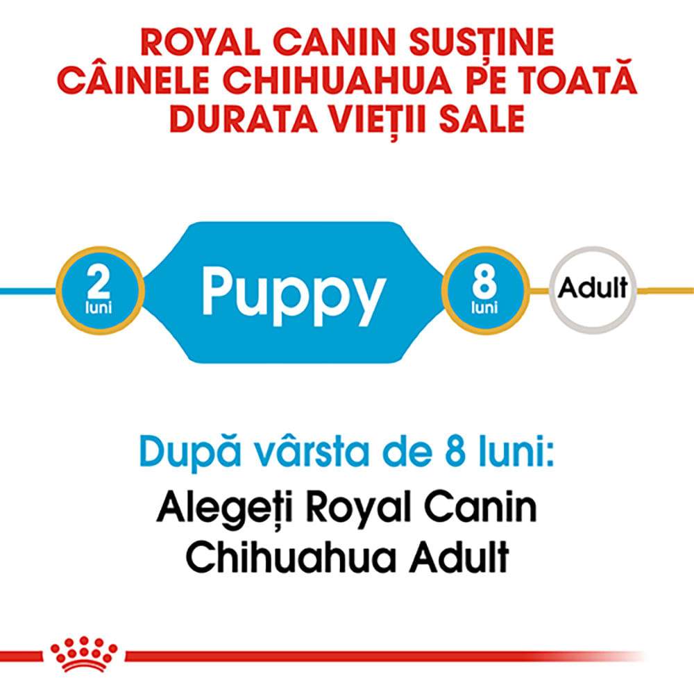 ROYAL CANIN Chihuahua Puppy, hrană uscată câini junior, 1.5kg