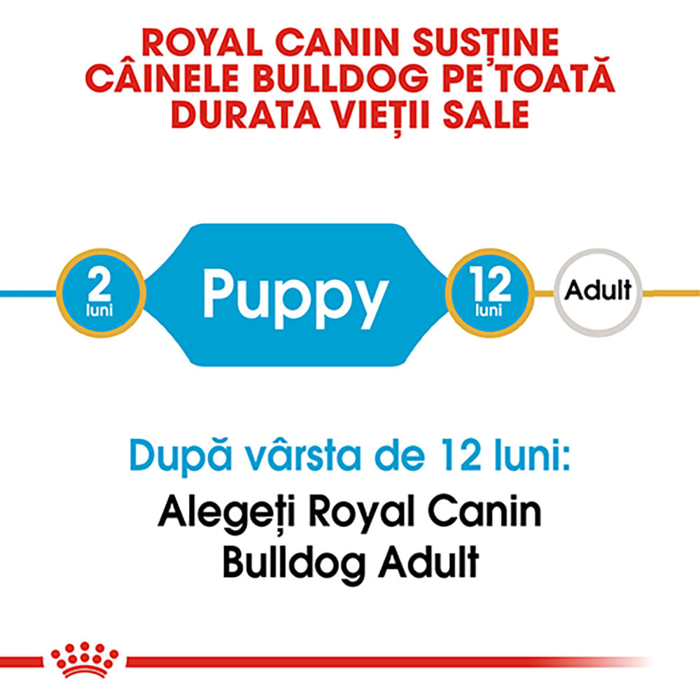 ROYAL CANIN Bulldog Puppy hrană uscată câini junior, 3kg