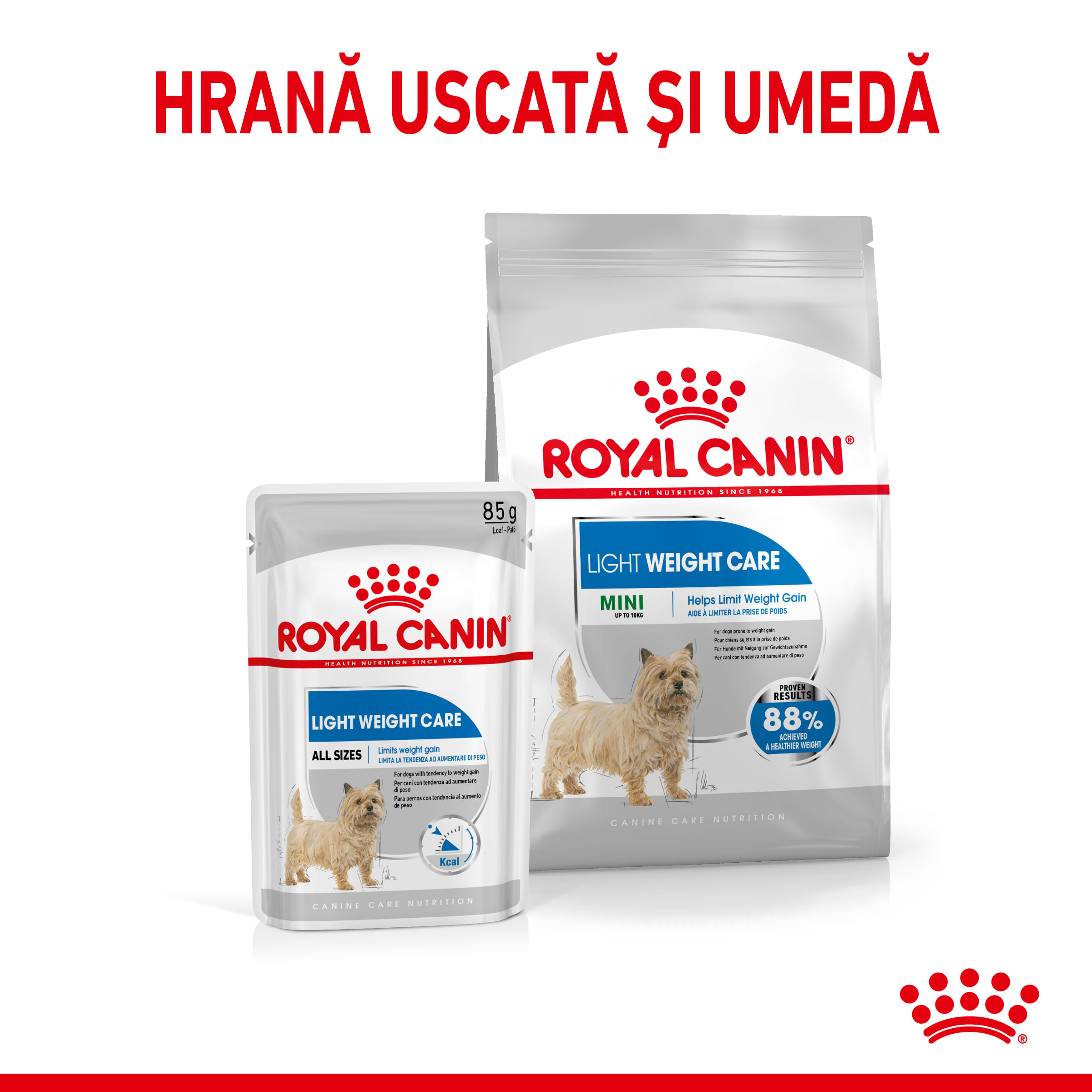 ROYAL CANIN Mini Light Weight Care Adult, hrană uscată câini, limitarea creșterii în greutate, 1kg