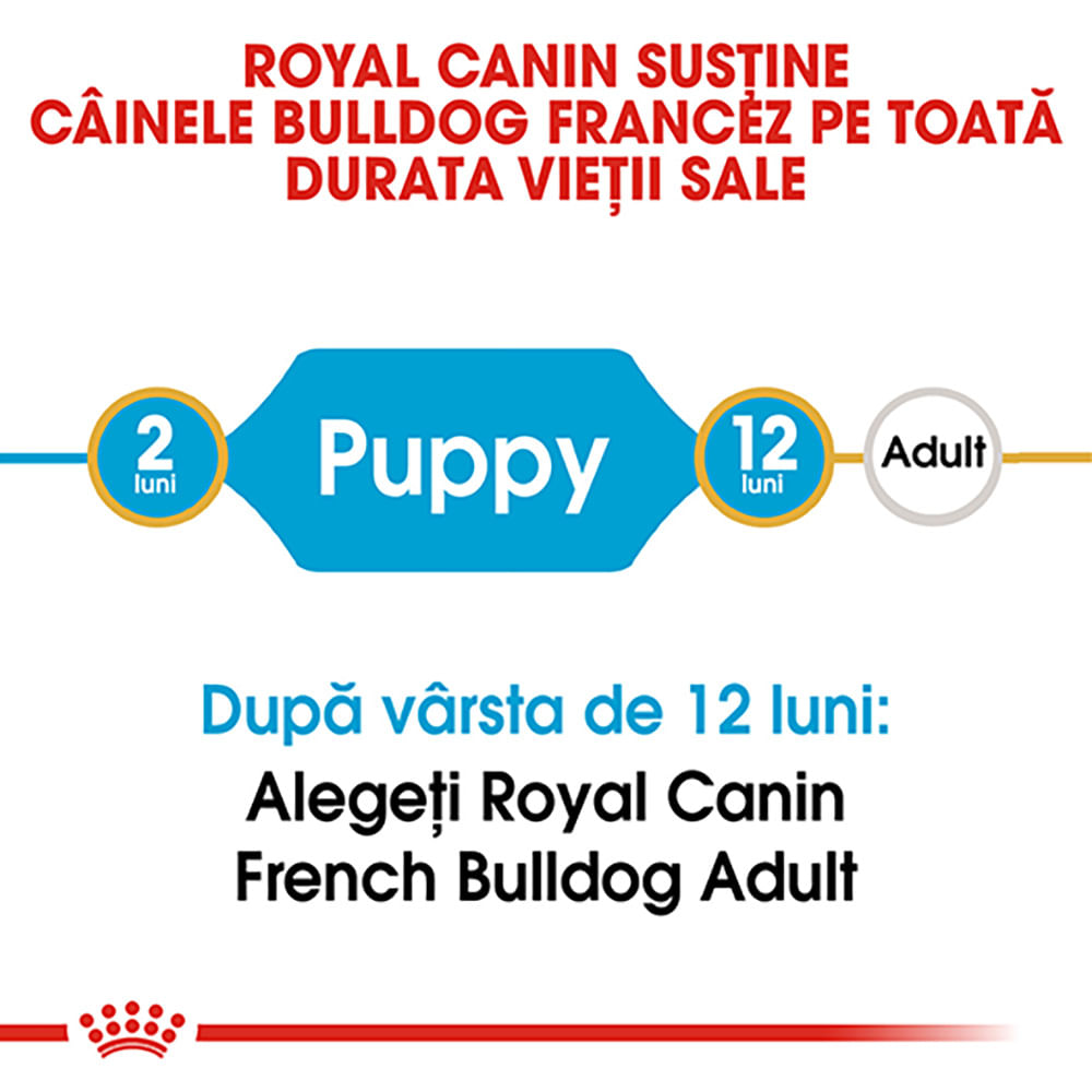 ROYAL CANIN French Bulldog Puppy, hrană uscată câini junior, 3kg