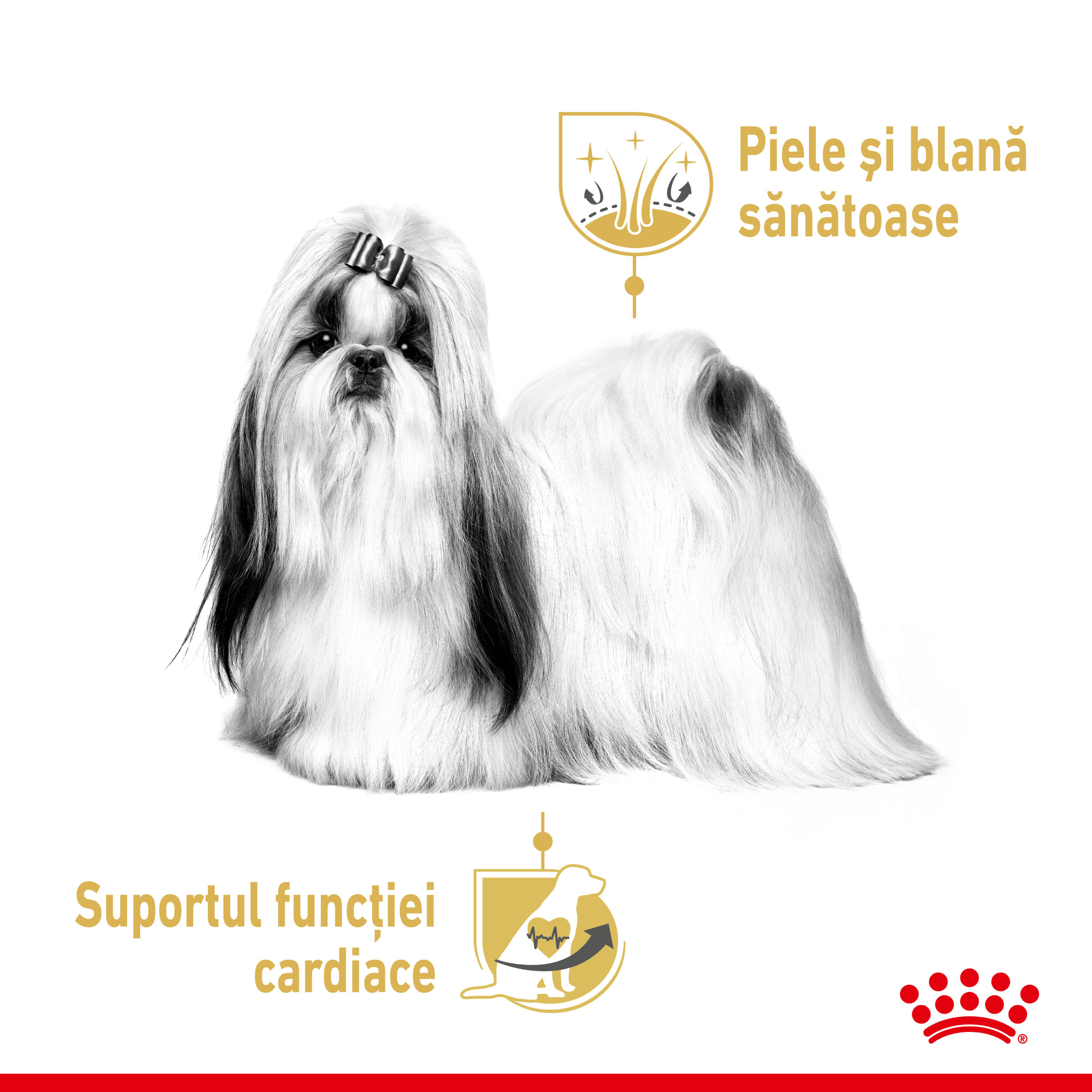 ROYAL CANIN Shih Tzu Adult hrană umedă câini (pate), bax, 85g x 12buc - 3 | YEO