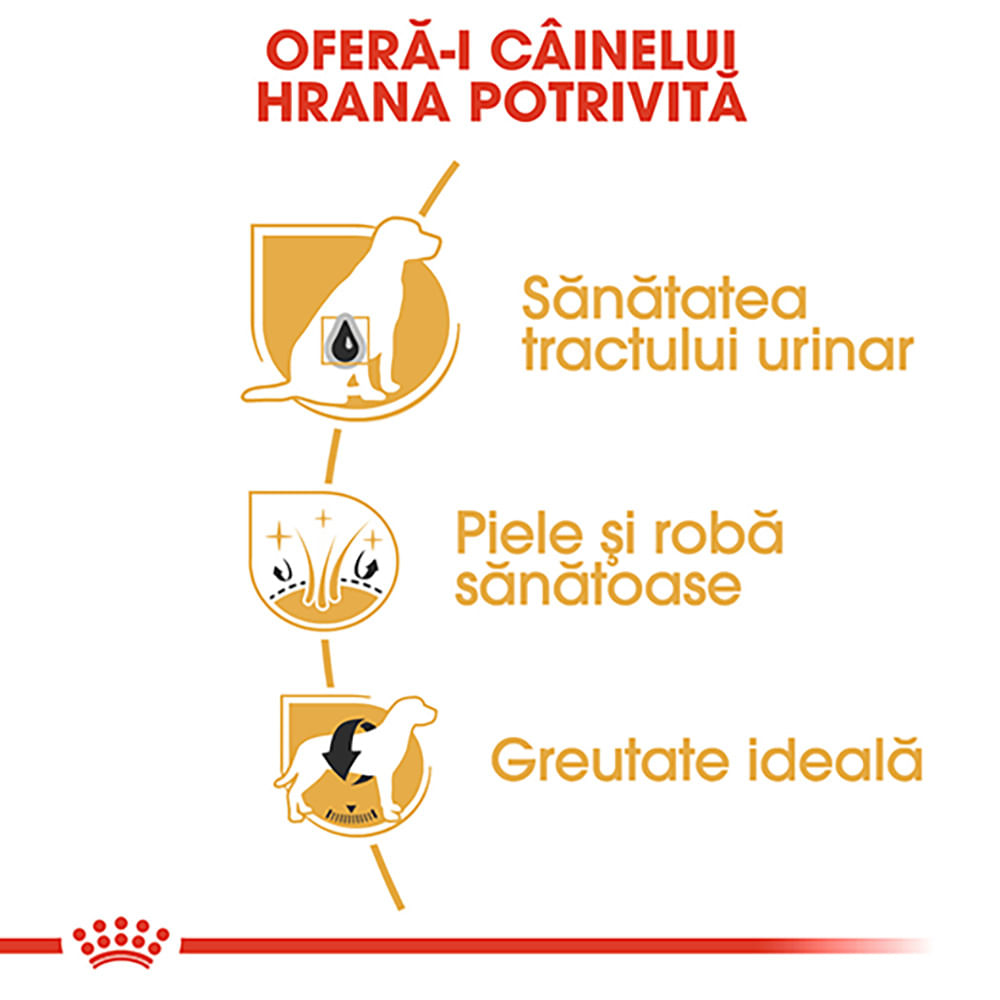 ROYAL CANIN Bichon Frise Adult, hrană uscată câini, 1.5kg