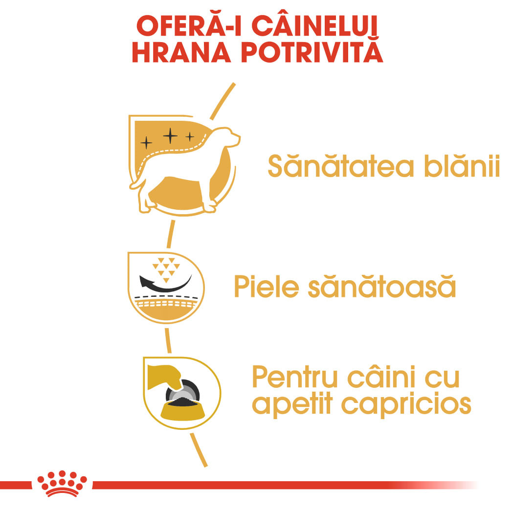 ROYAL CANIN West Highland Terrier Adult, hrană uscată câini, 3kg