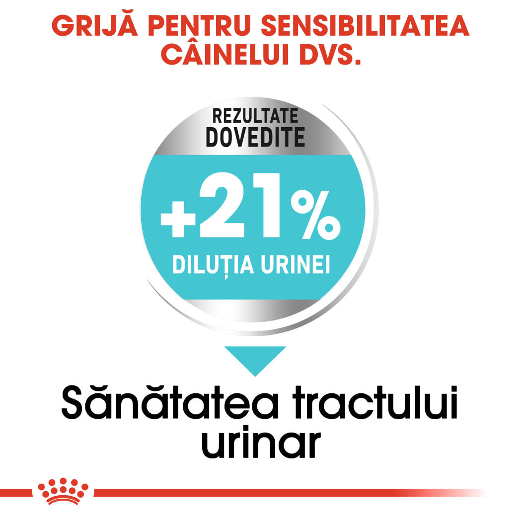 ROYAL CANIN Mini Urinary Care, hrană uscată câini, sănătatea tractului urinar, 1kg