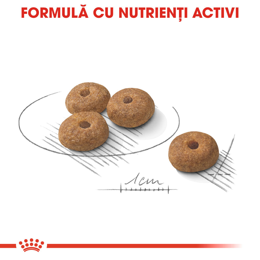 ROYAL CANIN Mini Sterilised Adult, hrană uscată câini sterilizați, 1kg