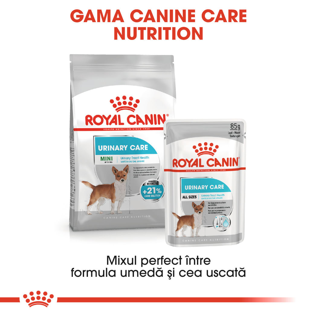 ROYAL CANIN Mini Urinary Care, hrană uscată câini, sănătatea tractului urinar, 1kg