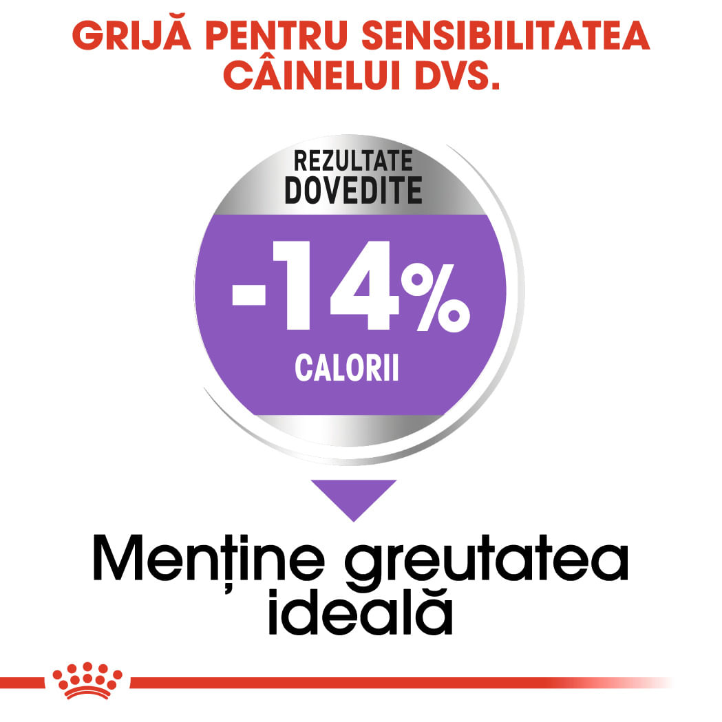 ROYAL CANIN Mini Sterilised Adult, hrană uscată câini sterilizați, 8kg
