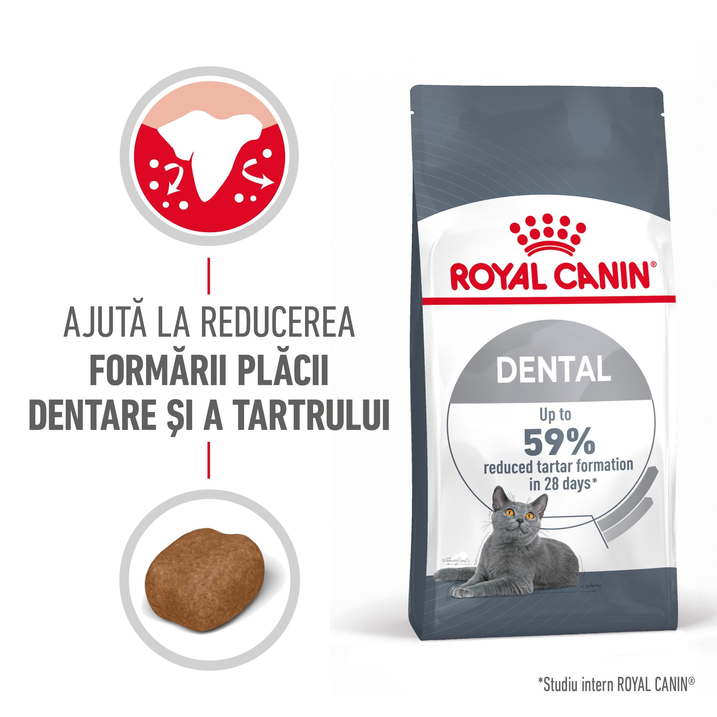 ROYAL CANIN Dental Care Adult, hrană uscată pisici, reducerea formării tartrului, 400g