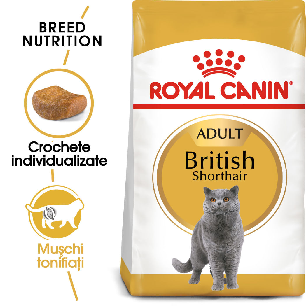 ROYAL CANIN British Shorthair Adult, hrană uscată pisici, 400g