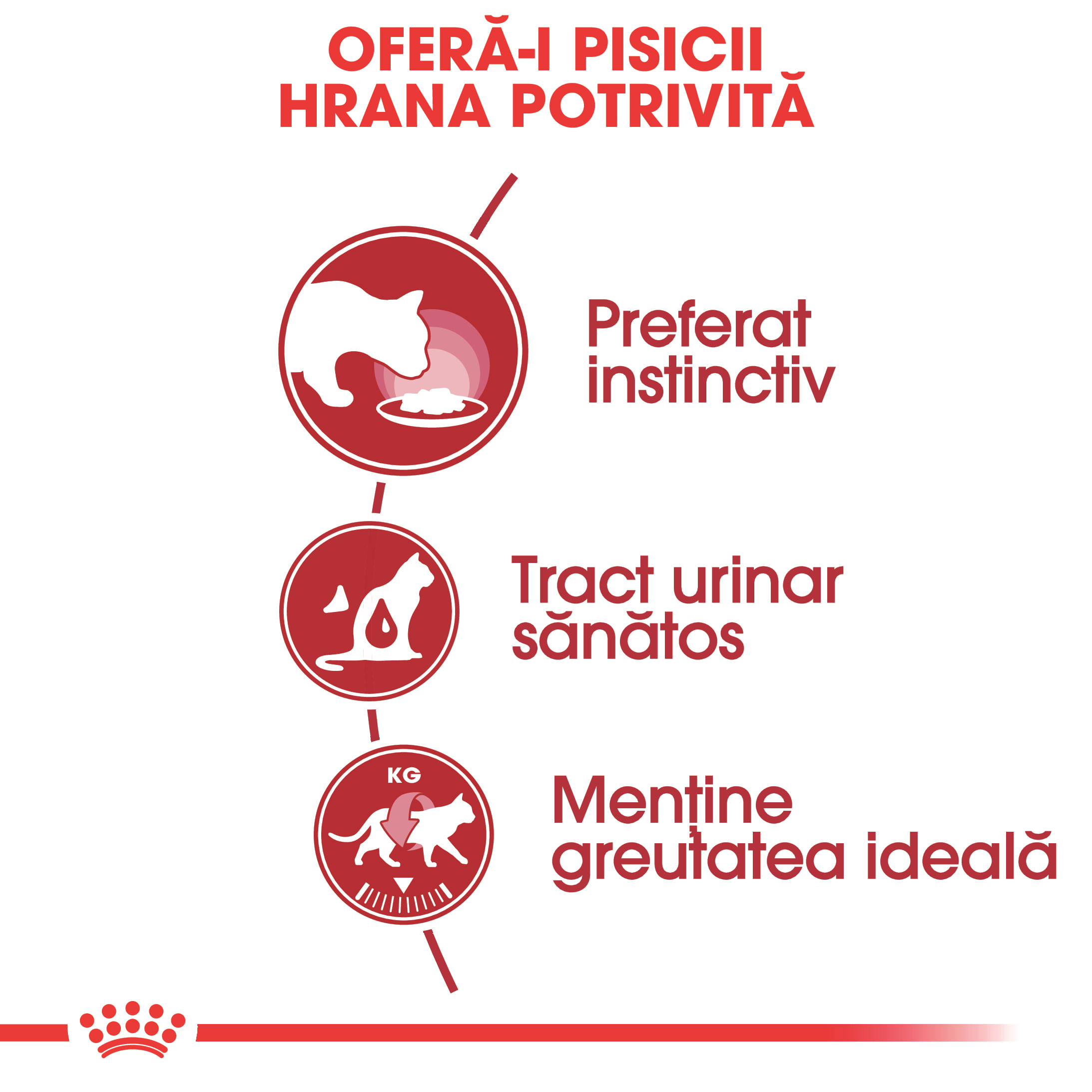 ROYAL CANIN Instinctive Adult, hrană umedă pisici, (în aspic), 85g - 2 | YEO