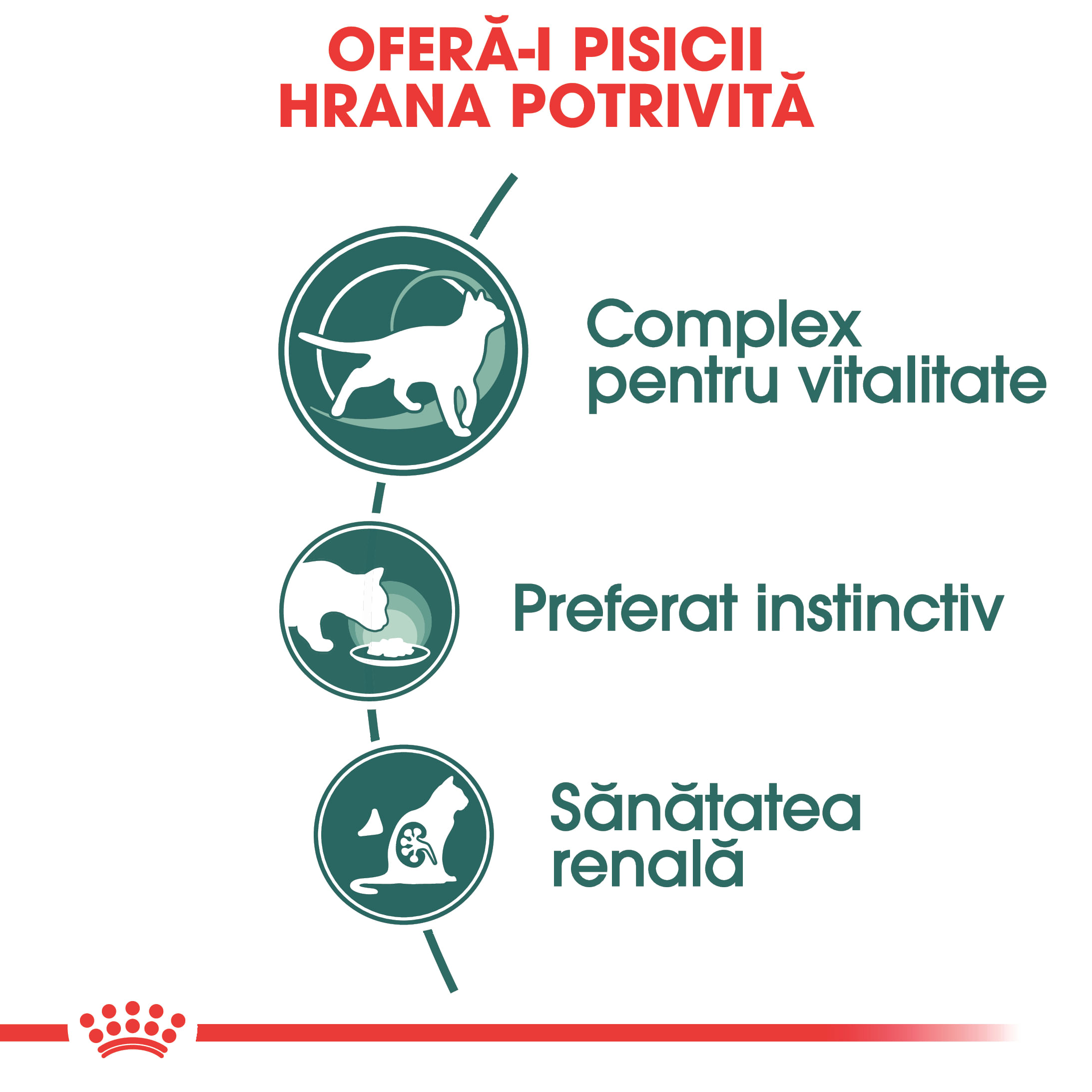 ROYAL CANIN Instinctive 7+, hrană umedă pisici, (în sos), 85g - 2 | YEO