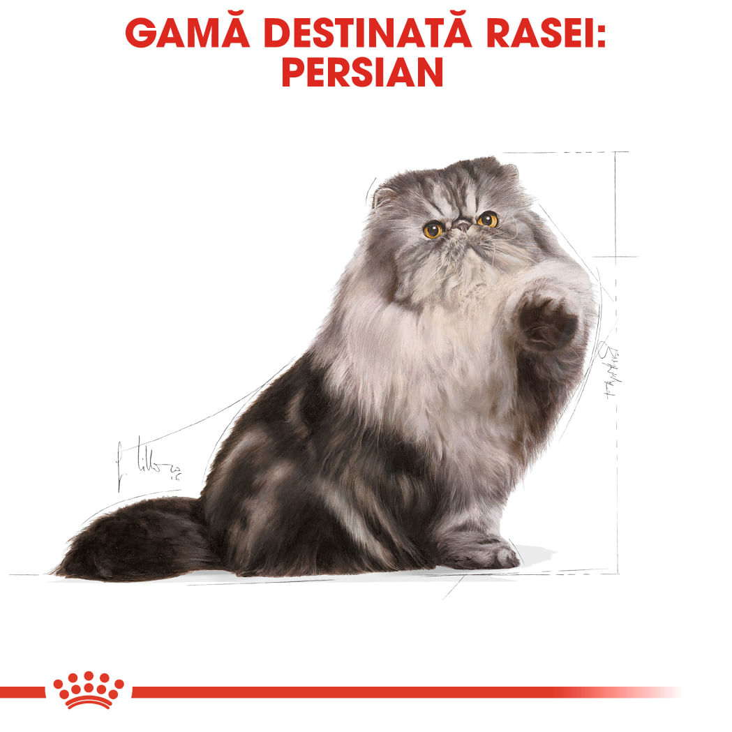 ROYAL CANIN Persian Adult, hrană uscată pisici, 400g - 3 | YEO