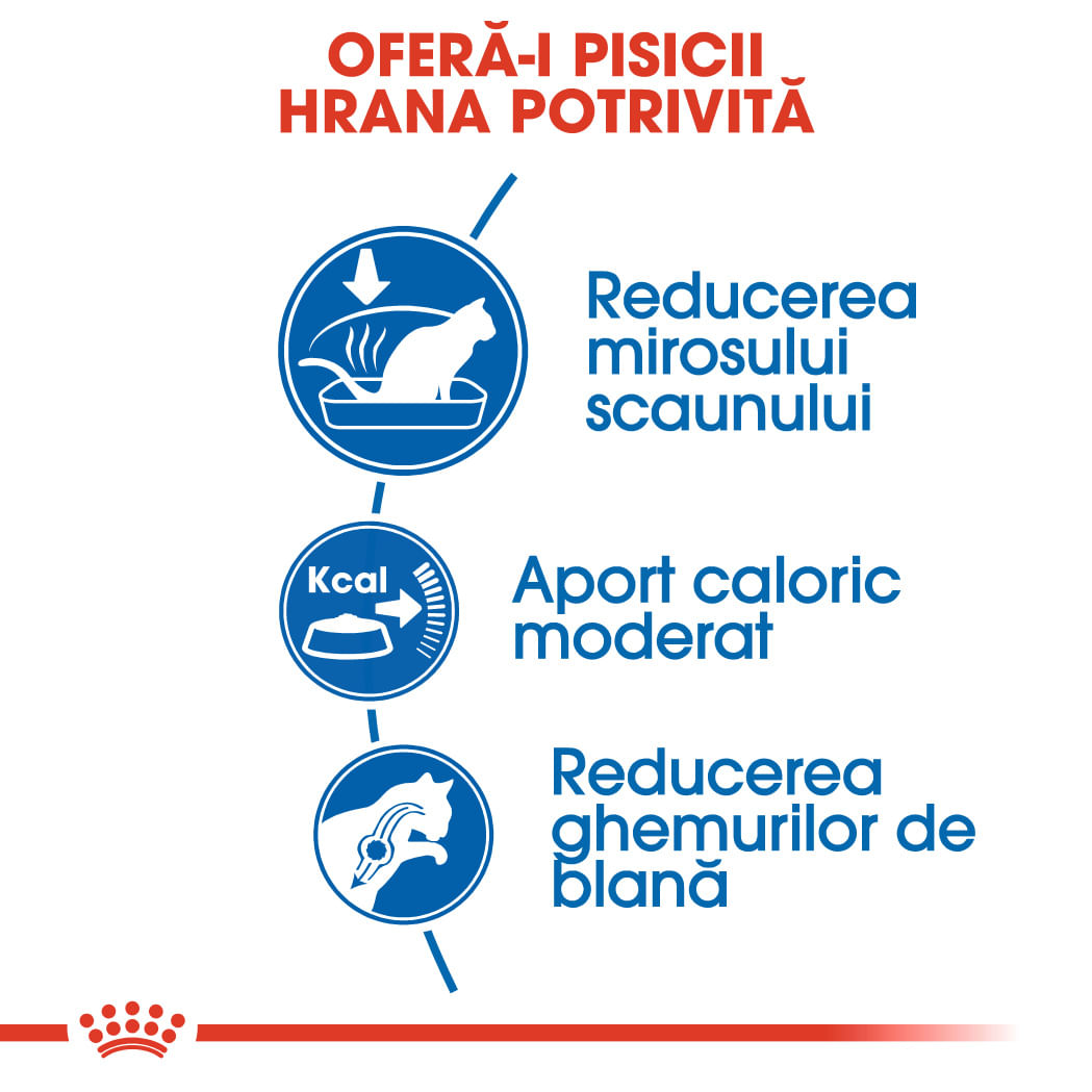 ROYAL CANIN Indoor Adult, hrană uscată pisici, de interior, 400g - 3 | YEO