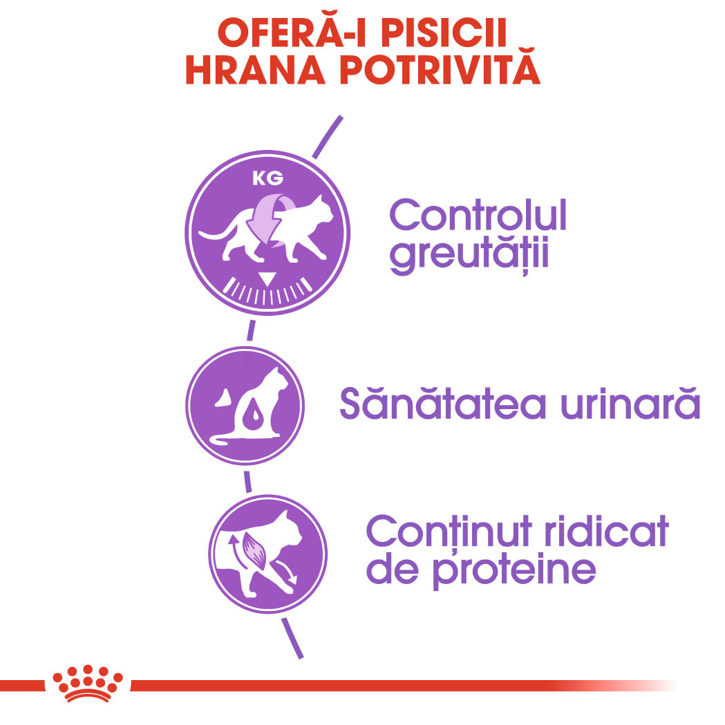 ROYAL CANIN Sterilised Adult, hrană uscată pisici sterilizate, 400g - 3 | YEO