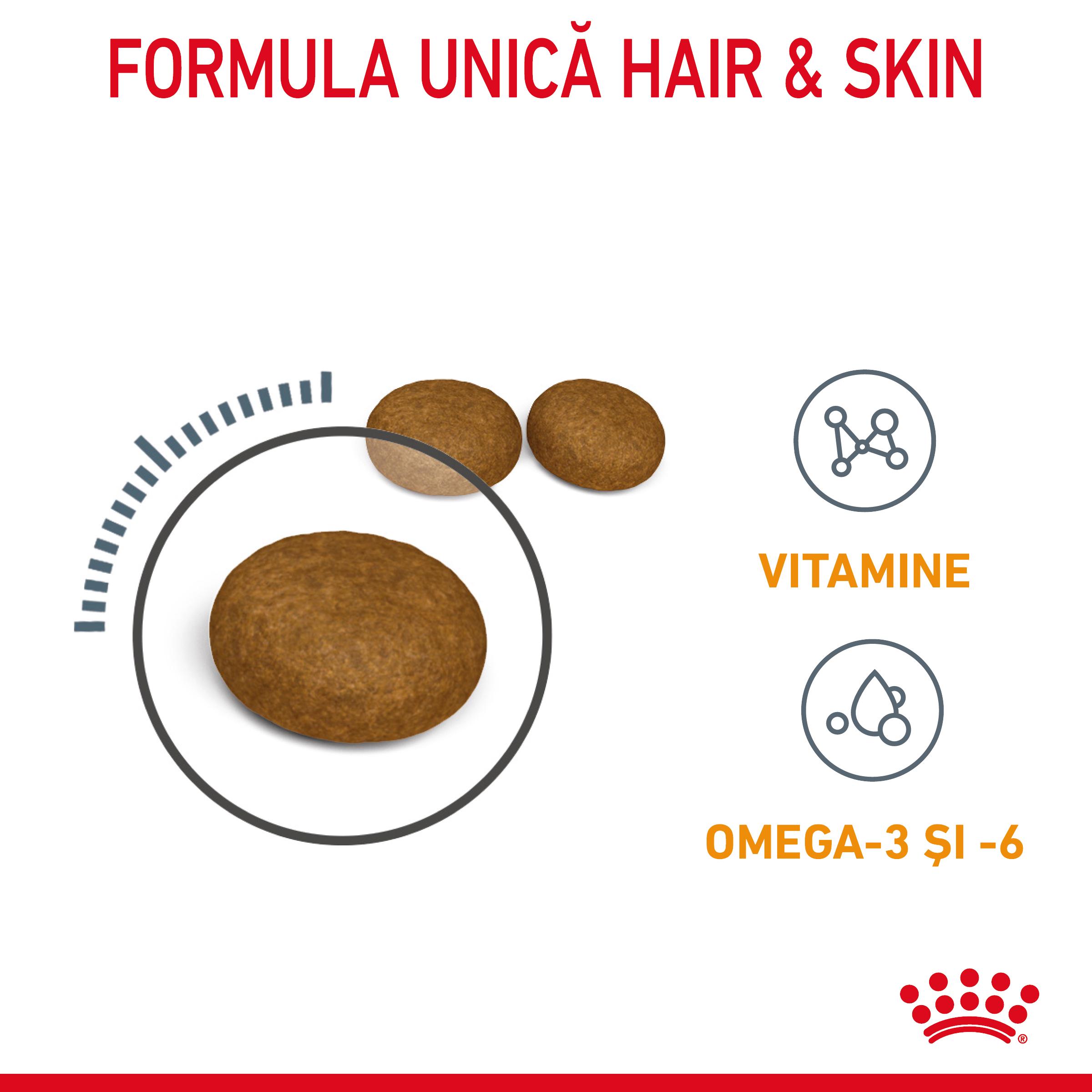 ROYAL CANIN Hair & Skin Care Adult, hrană uscată pisici, piele & blană, 400g - 3 | YEO