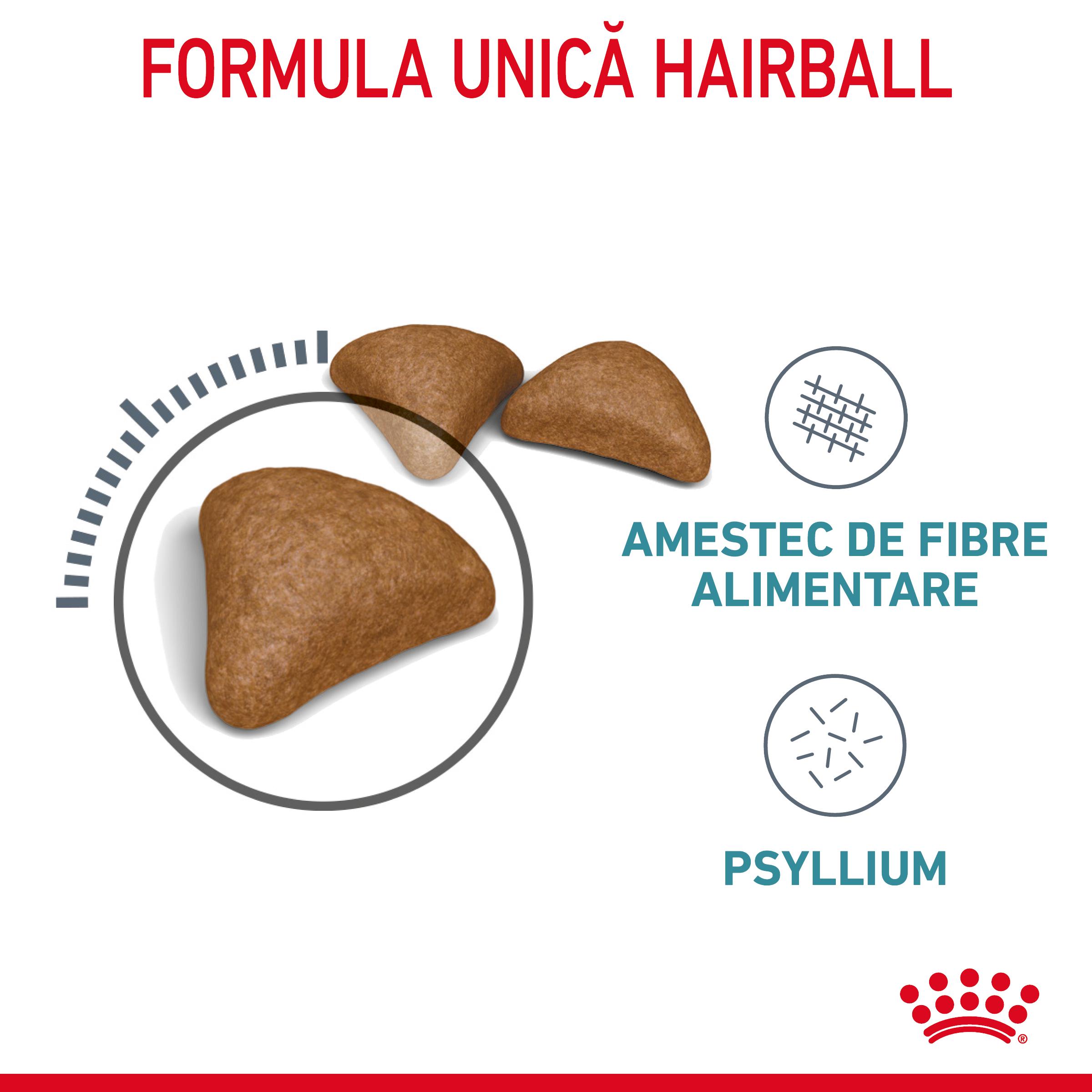 ROYAL CANIN Hairball Care Adult, hrană uscată pisici, limitarea ghemurilor de blană, 400g - 3 | YEO