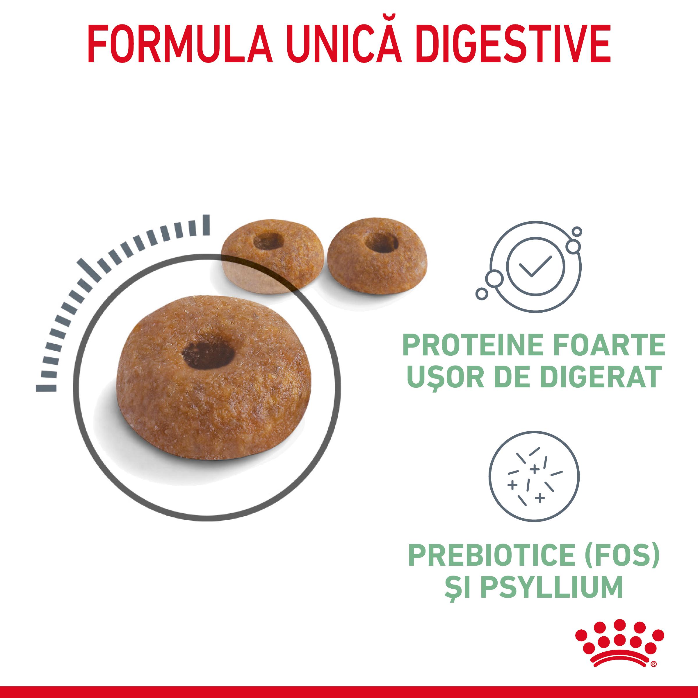 ROYAL CANIN Digestive Care Adult, hrană uscată pisici, confort digestiv, 400g
