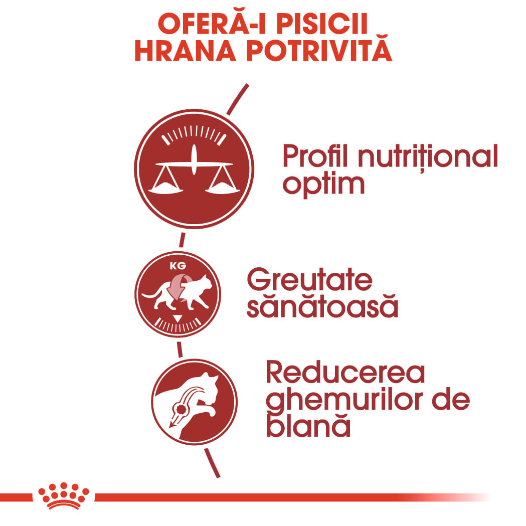 ROYAL CANIN Fit32 Adult, hrană uscată pisici, activitate fizică moderată, 400g