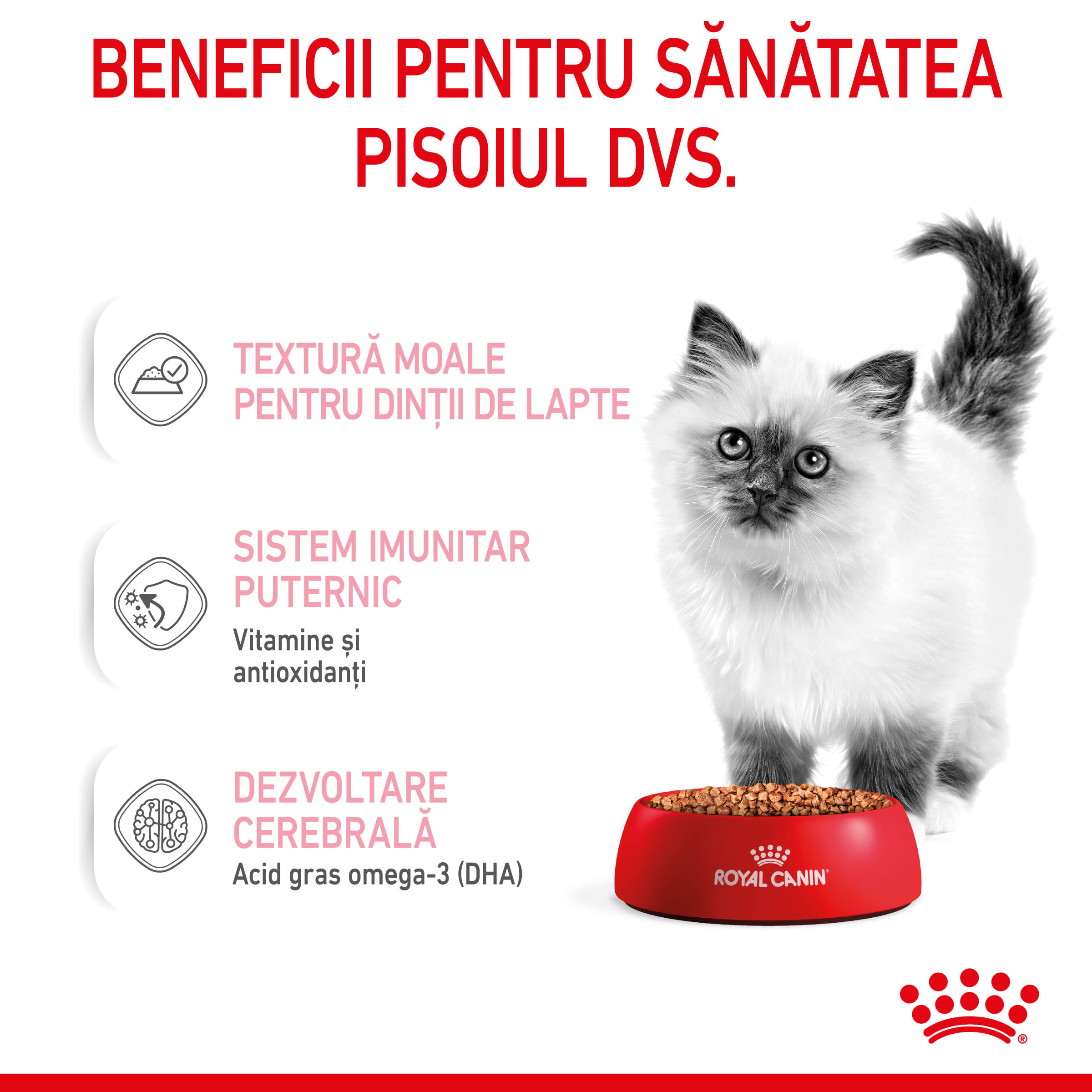 ROYAL CANIN Kitten, hrană umedă pisici junior, (în sos), 85g - 3 | YEO