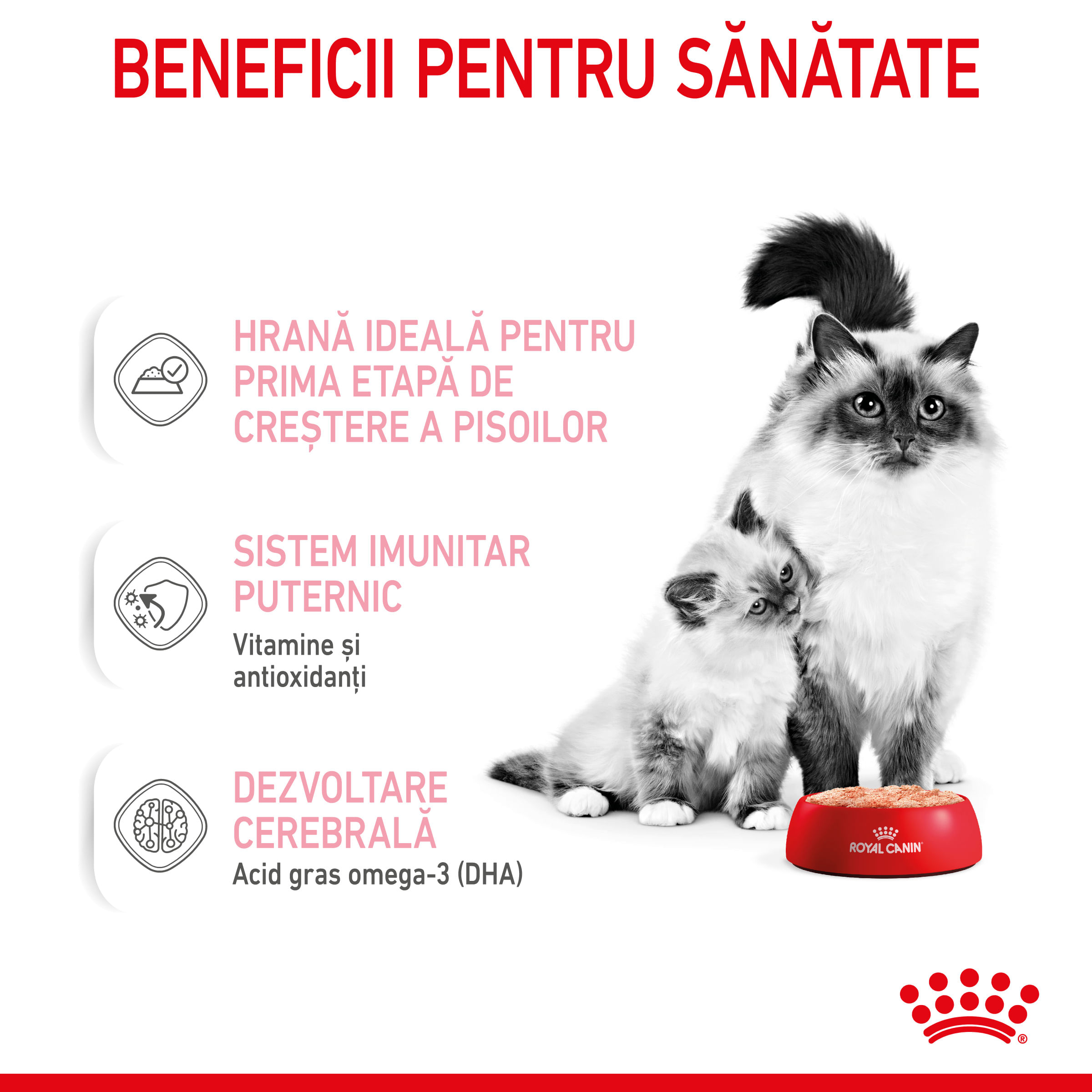 ROYAL CANIN Mother & BabyCat, hrană umedă pisici, mama și puiul, (mousse), 195g - 3 | YEO