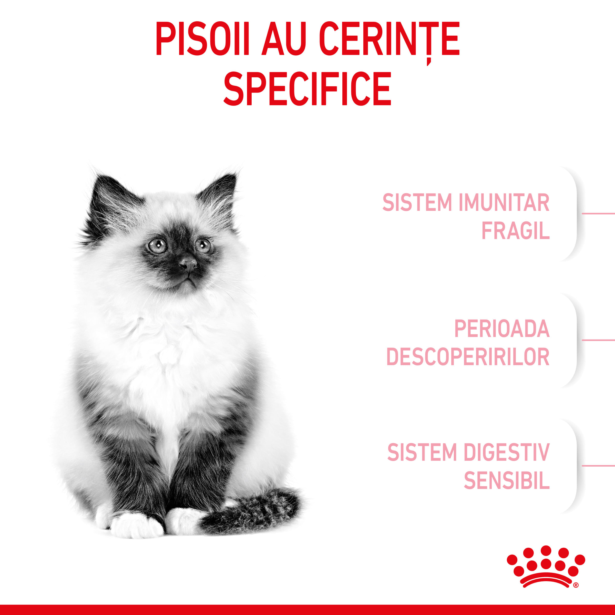 ROYAL CANIN Kitten, hrană uscată pisici junior, 400g - 3 | YEO