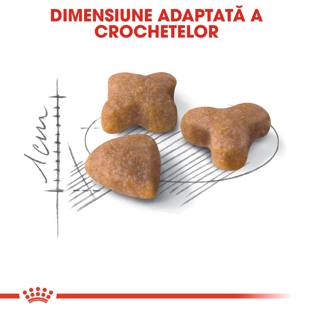 ROYAL CANIN Sensible Adult, hrană uscată pisici, digestie optimă, 400g